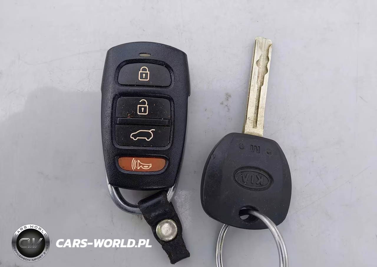 2009 Kia Borrego Lx VIN:KNDJJ741695031606 - 11
