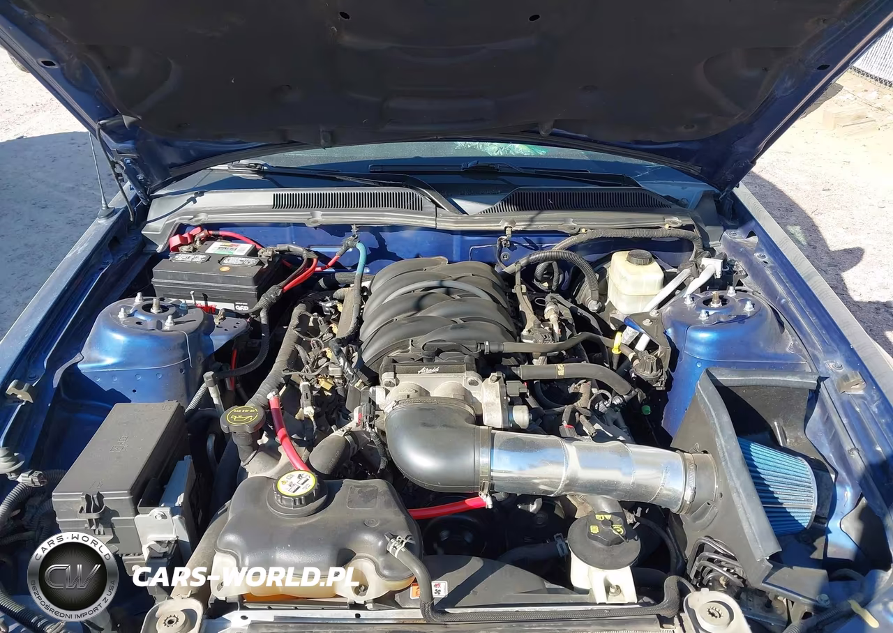 2006 Ford Mustang Gt VIN:1ZVHT85H365218689 - 10