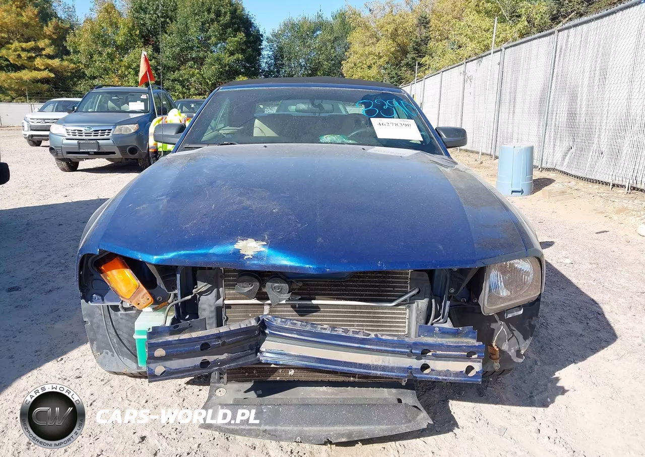 2006 Ford Mustang Gt VIN:1ZVHT85H365218689 - 13