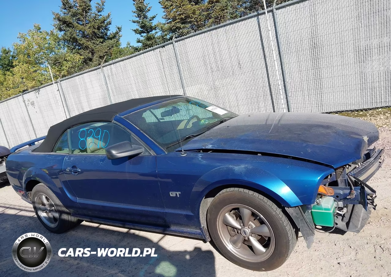 2006 Ford Mustang Gt VIN:1ZVHT85H365218689 - 14