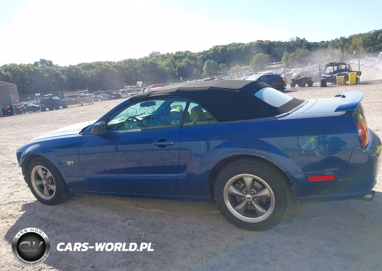 2006 Ford Mustang Gt VIN:1ZVHT85H365218689 - 15