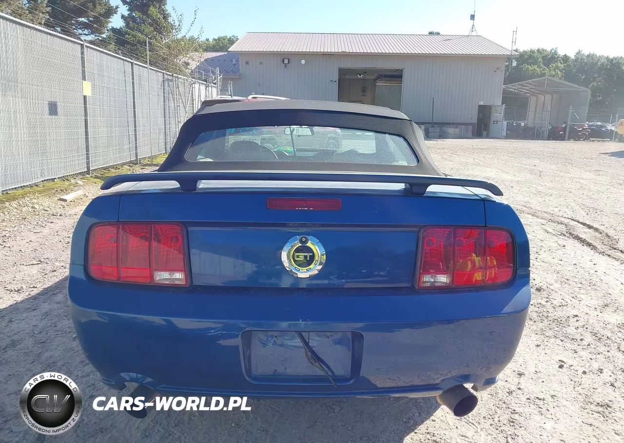 2006 Ford Mustang Gt VIN:1ZVHT85H365218689 - 17