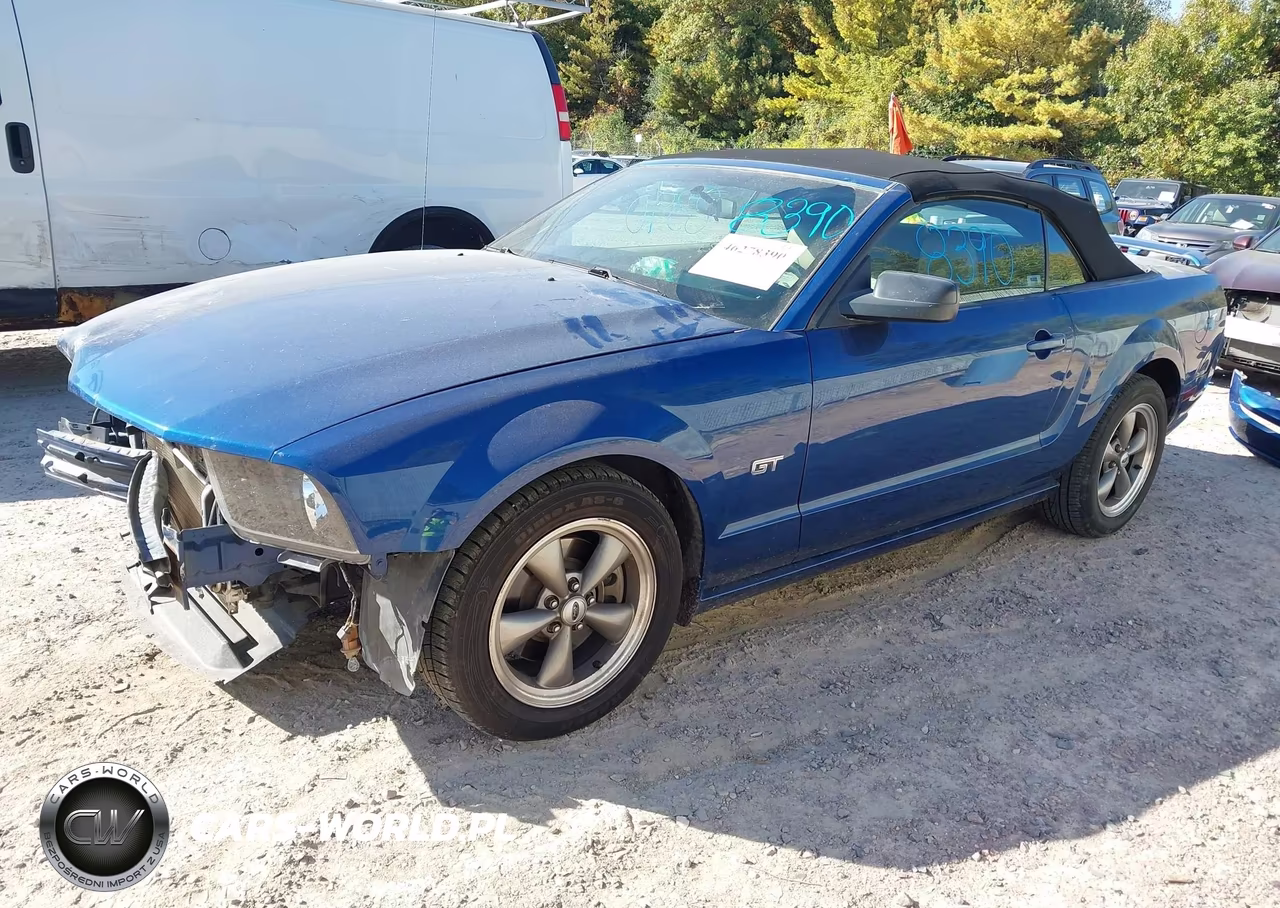 2006 Ford Mustang Gt VIN:1ZVHT85H365218689 - 2