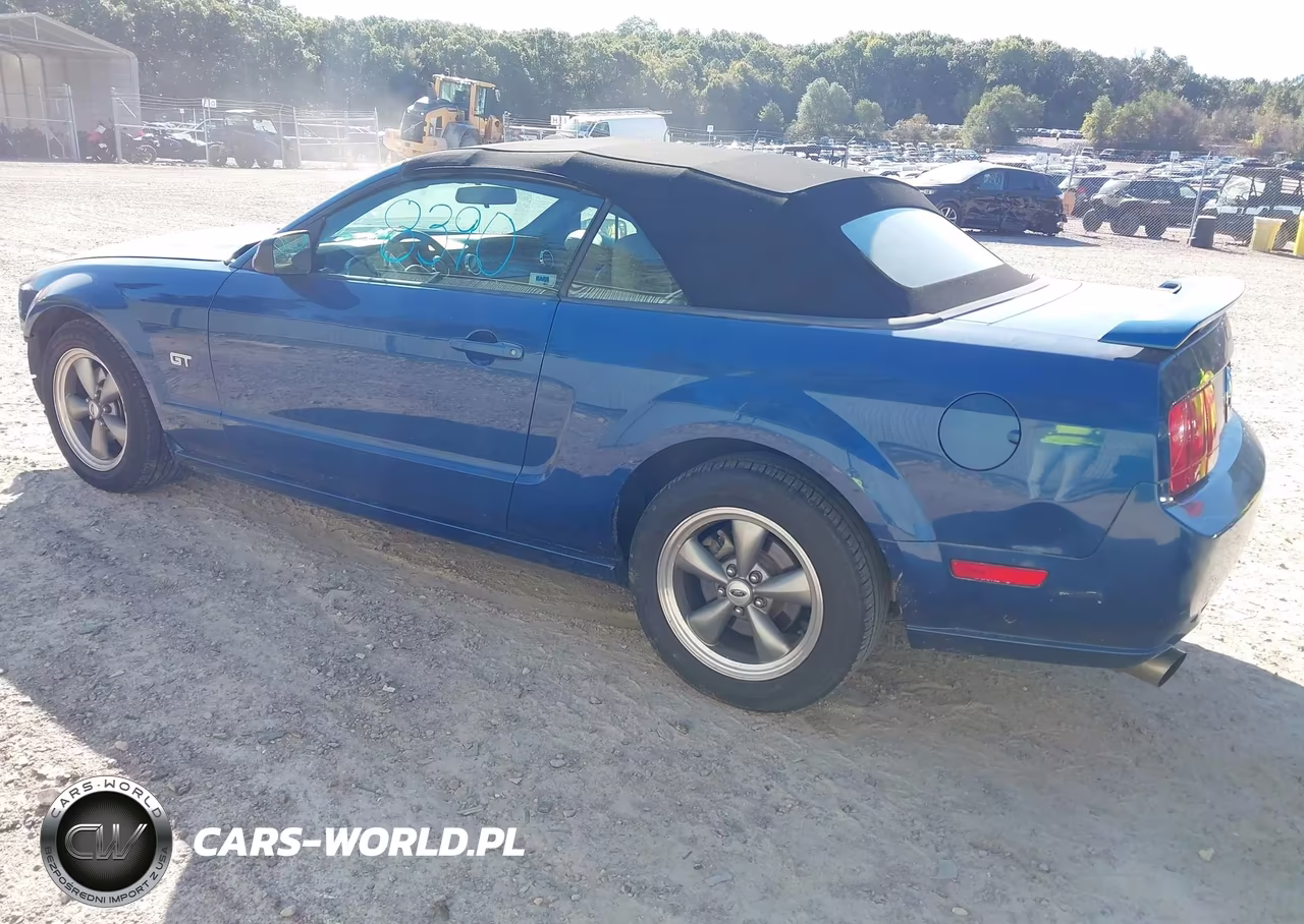 2006 Ford Mustang Gt VIN:1ZVHT85H365218689 - 3