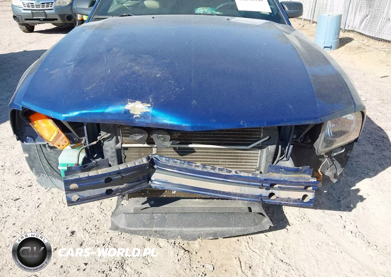 2006 Ford Mustang Gt VIN:1ZVHT85H365218689 - 6