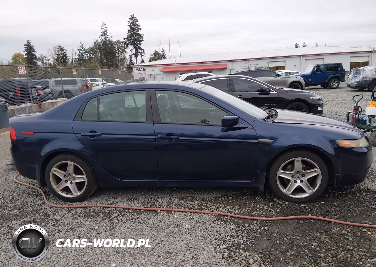 2004 Acura Tl VIN:19UUA66204A001032 - 13