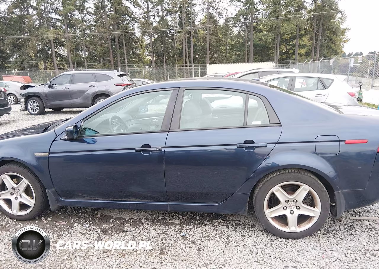 2004 Acura Tl VIN:19UUA66204A001032 - 14