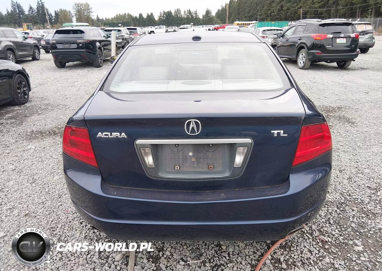 2004 Acura Tl VIN:19UUA66204A001032 - 16
