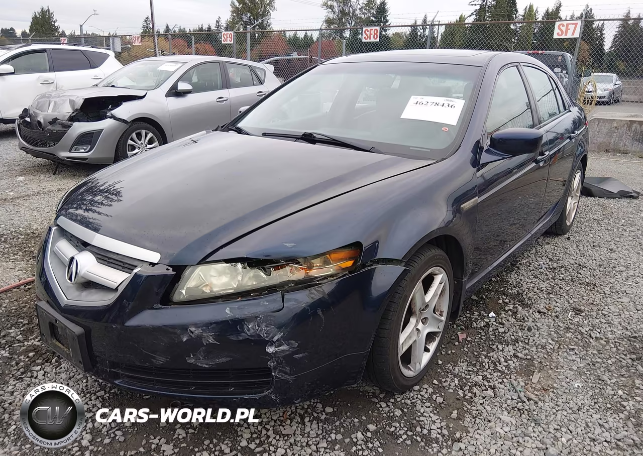 2004 Acura Tl VIN:19UUA66204A001032 - 2