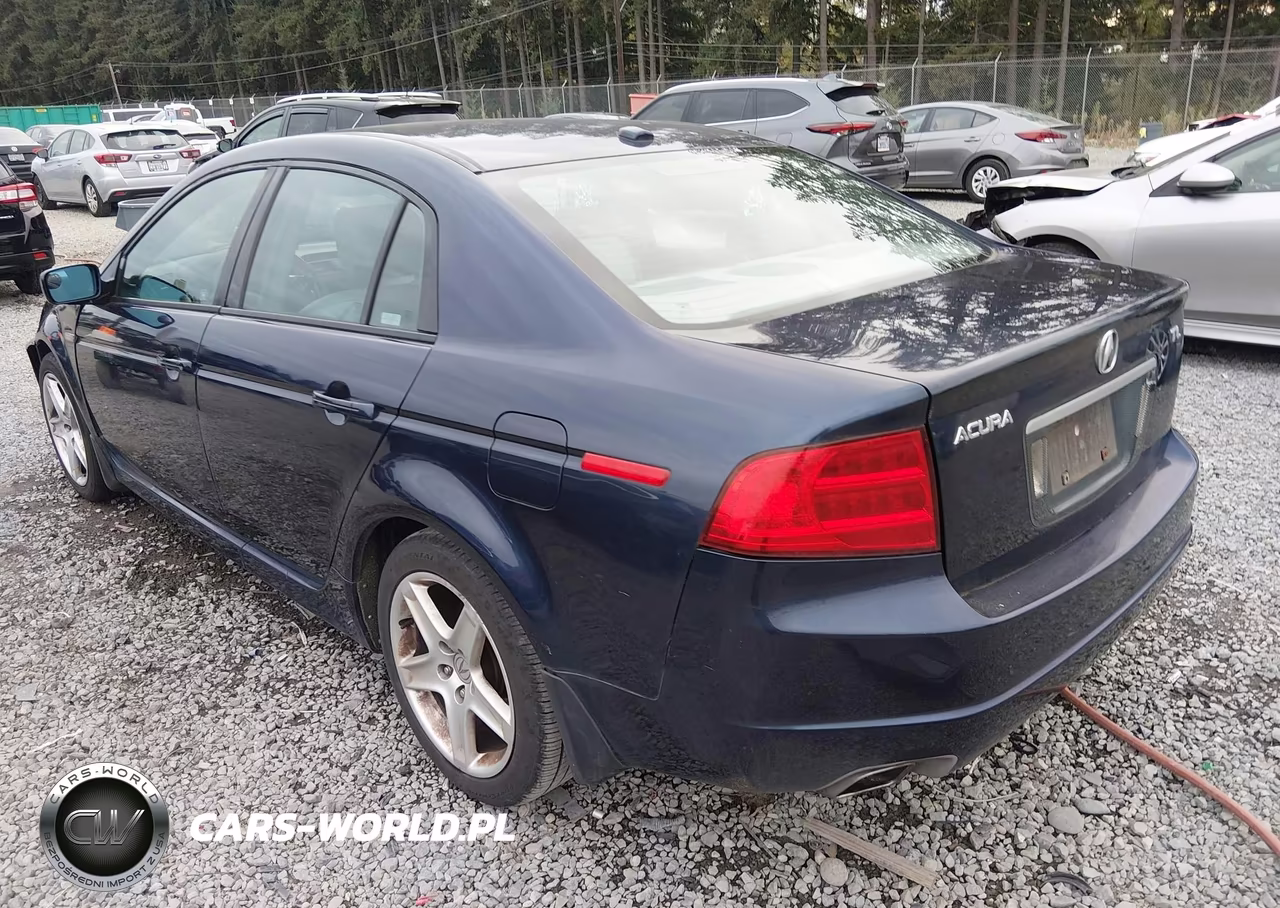 2004 Acura Tl VIN:19UUA66204A001032 - 3