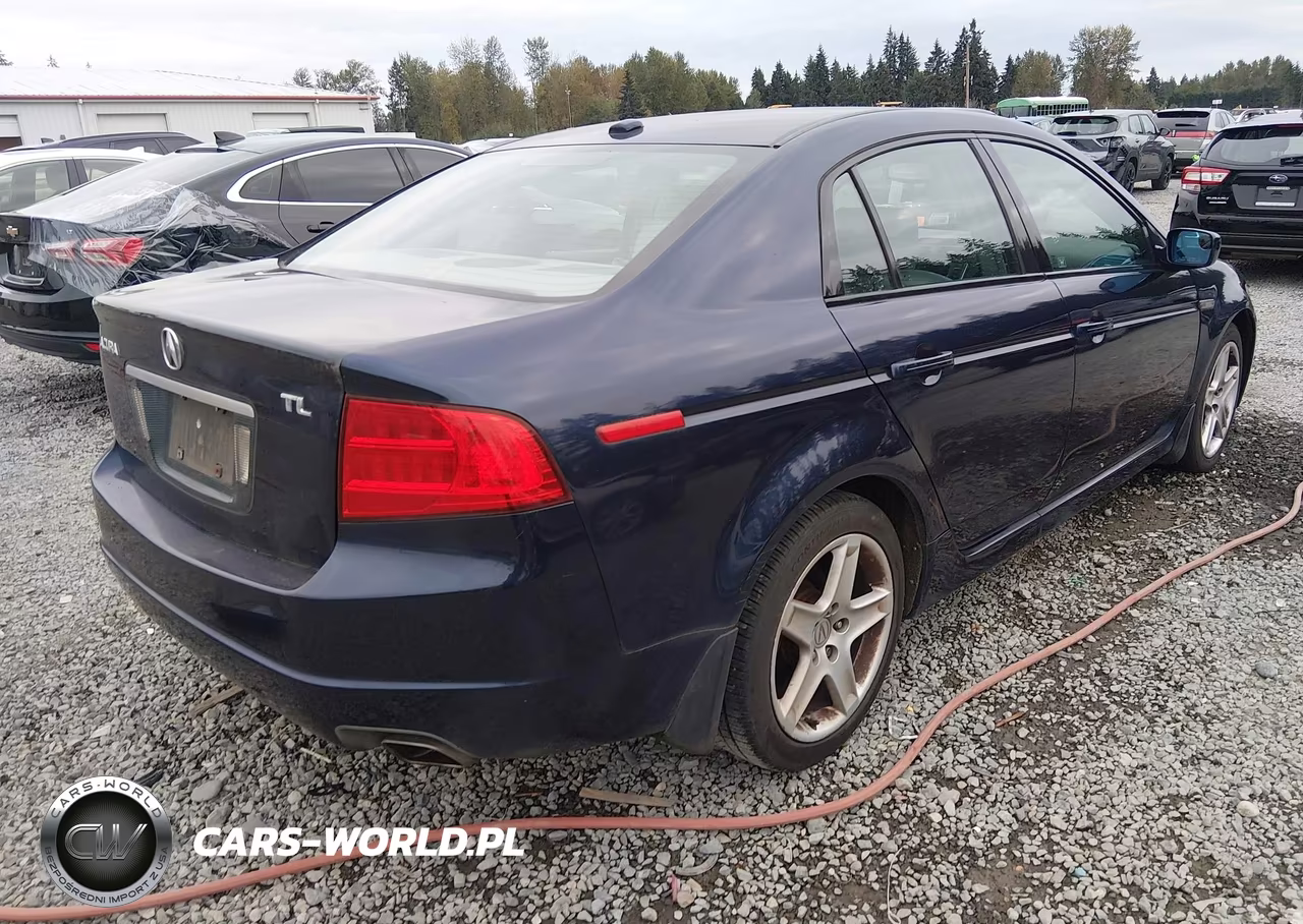 2004 Acura Tl VIN:19UUA66204A001032 - 4