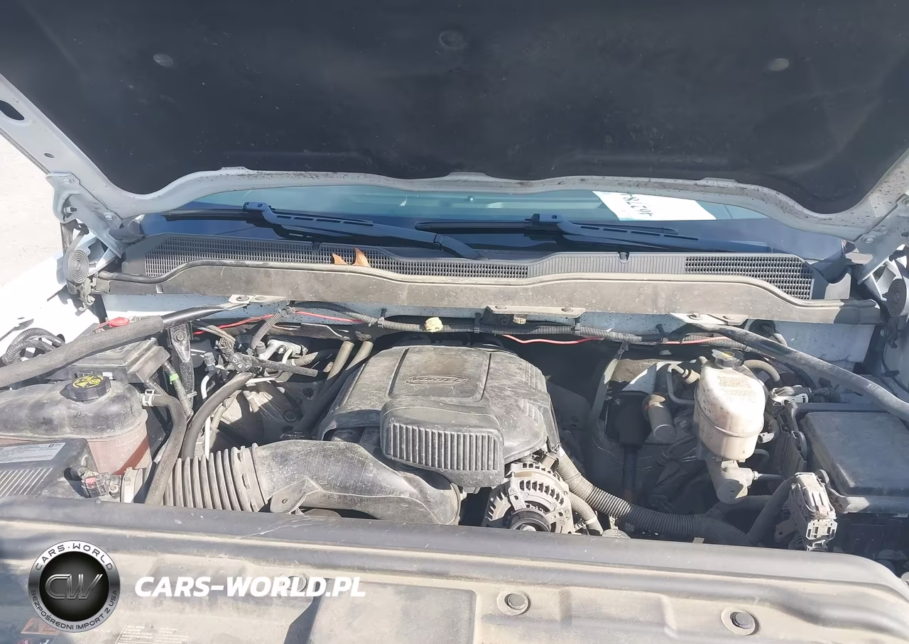 2019 Chevrolet Silverado 2500Hd Wt VIN:2GB2KREG2K1202993 - 10