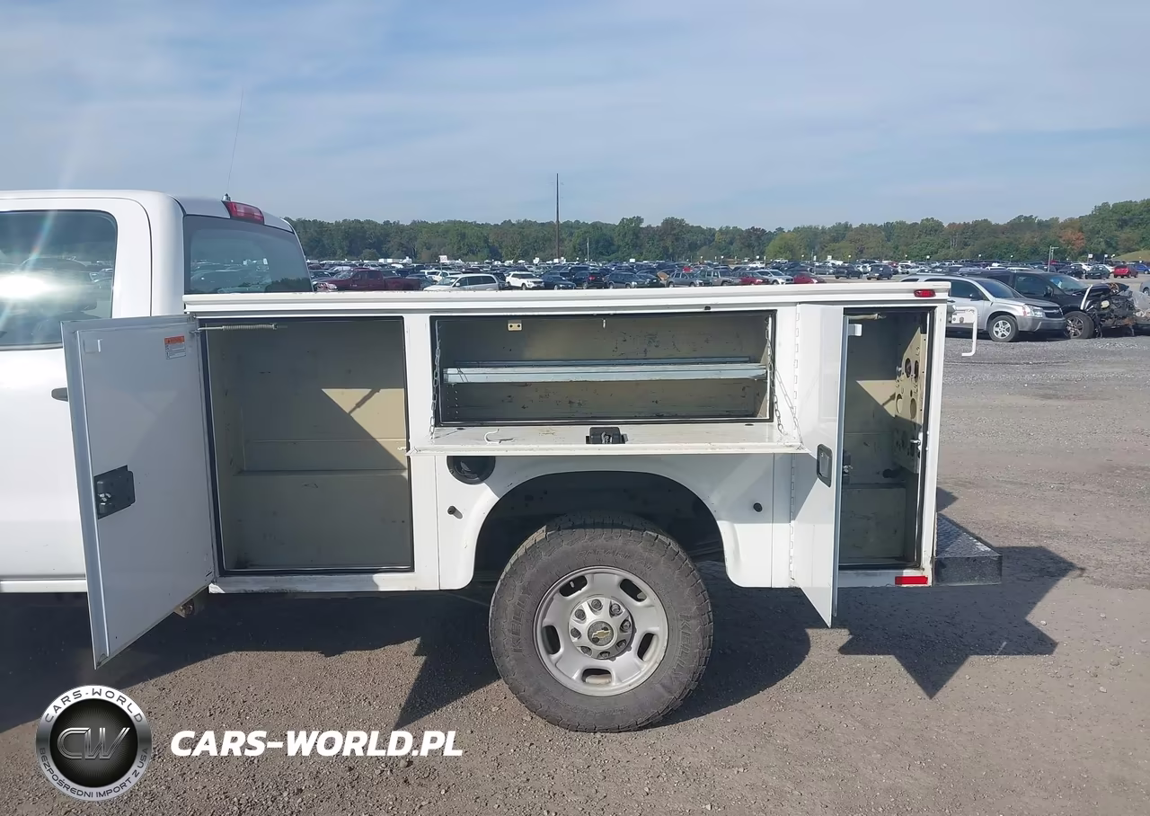 2019 Chevrolet Silverado 2500Hd Wt VIN:2GB2KREG2K1202993 - 12