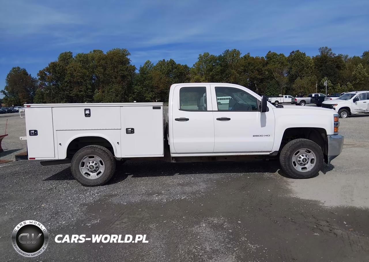 2019 Chevrolet Silverado 2500Hd Wt VIN:2GB2KREG2K1202993 - 19