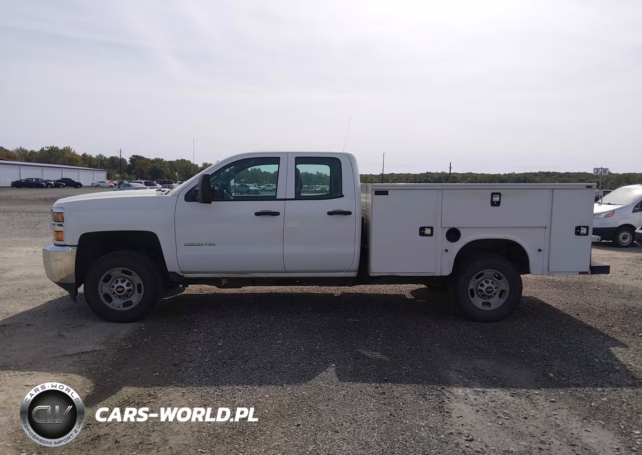 2019 Chevrolet Silverado 2500Hd Wt VIN:2GB2KREG2K1202993 - 20