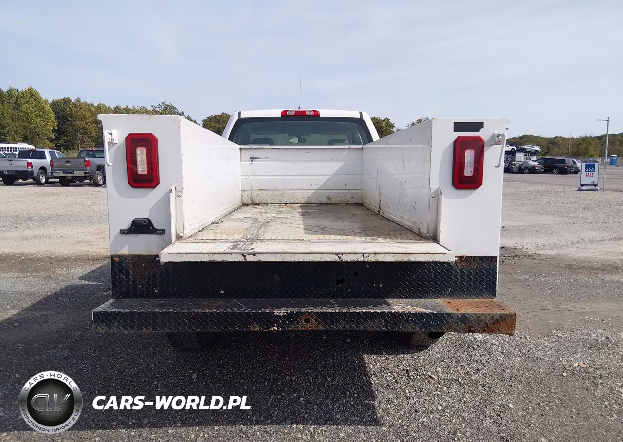 2019 Chevrolet Silverado 2500Hd Wt VIN:2GB2KREG2K1202993 - 22