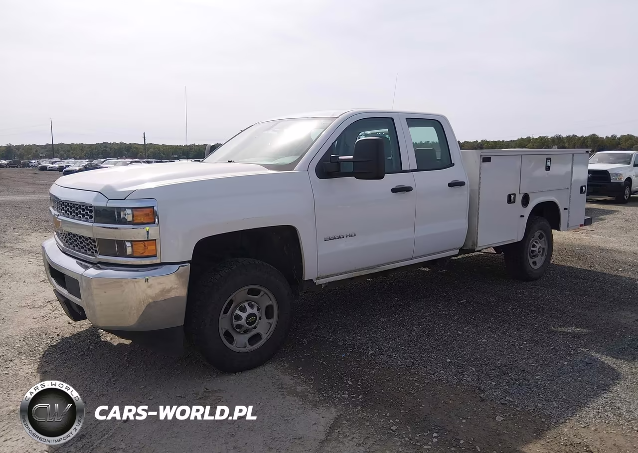 2019 Chevrolet Silverado 2500Hd Wt VIN:2GB2KREG2K1202993 - 6