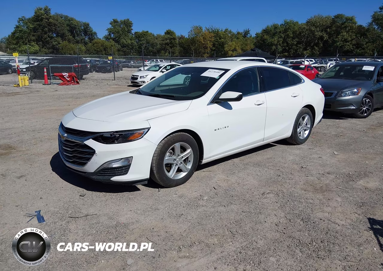 2020 Chevrolet Malibu Fwd 1Fl VIN:1G1ZC5ST2LF111212 - 2