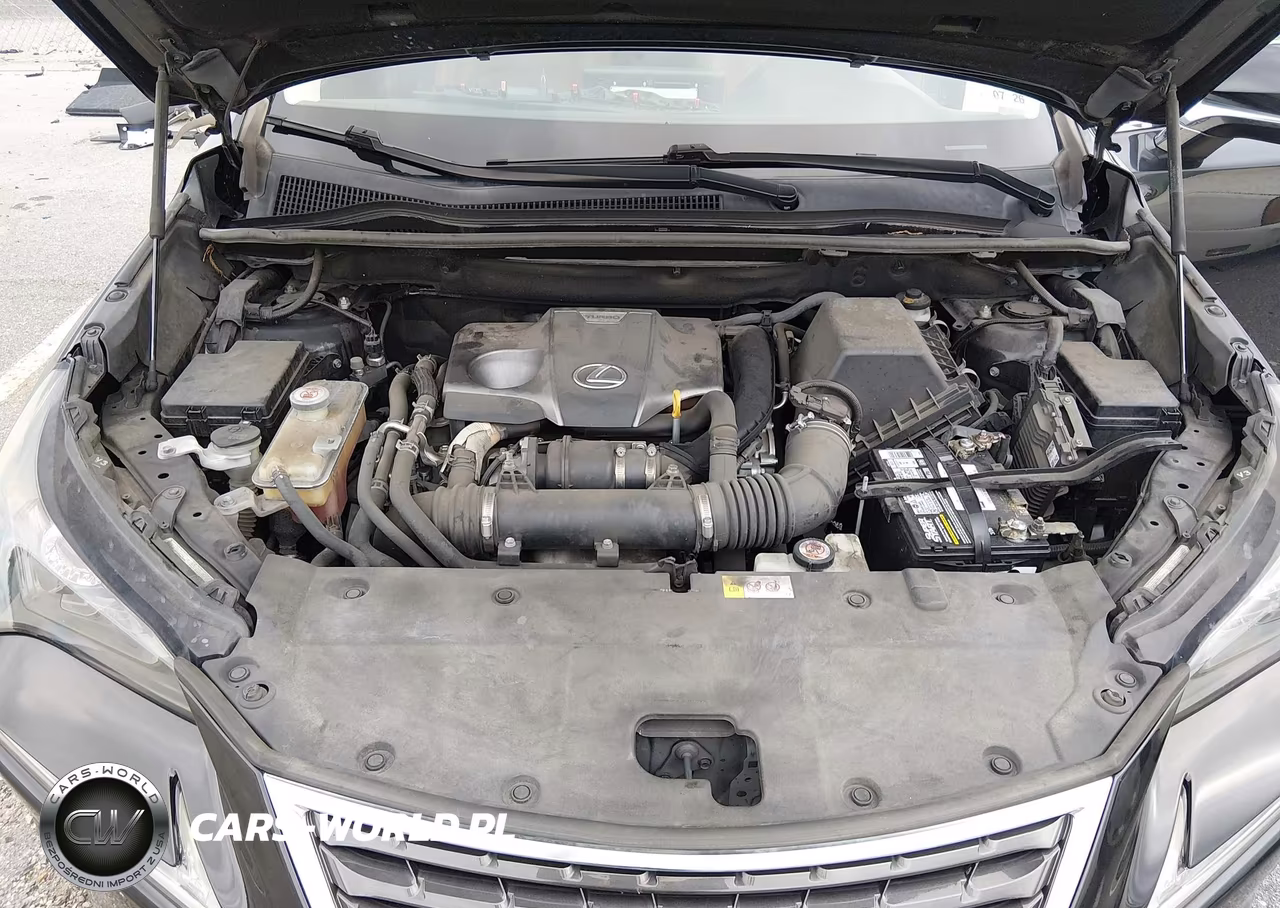 2018 Lexus Nx 300 VIN:JTJYARBZ9J2105039 - 10