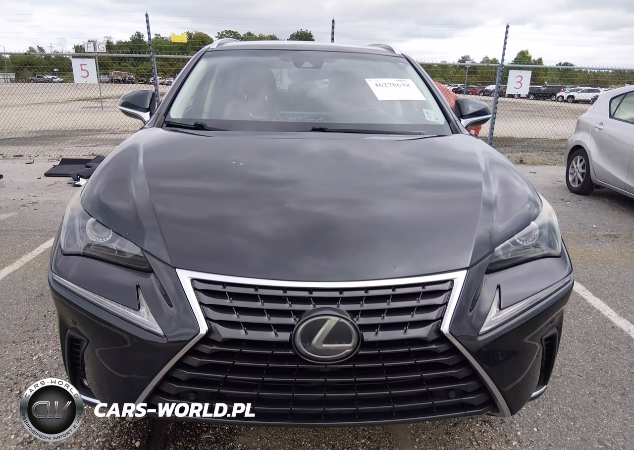 2018 Lexus Nx 300 VIN:JTJYARBZ9J2105039 - 13