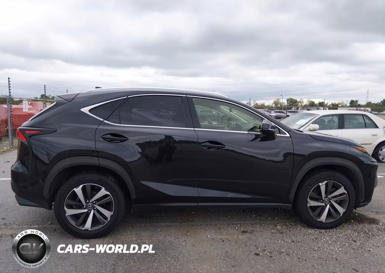 2018 Lexus Nx 300 VIN:JTJYARBZ9J2105039 - 14