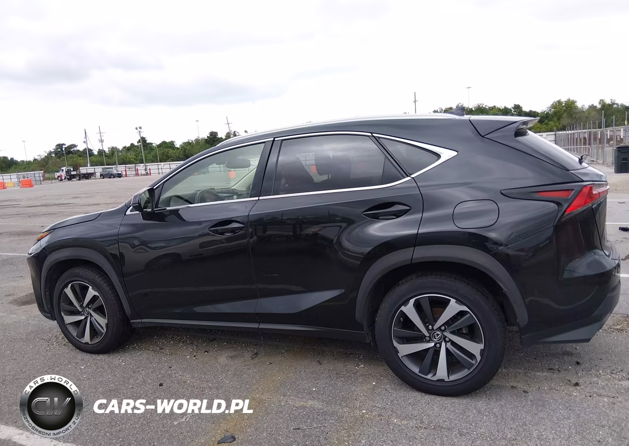 2018 Lexus Nx 300 VIN:JTJYARBZ9J2105039 - 15