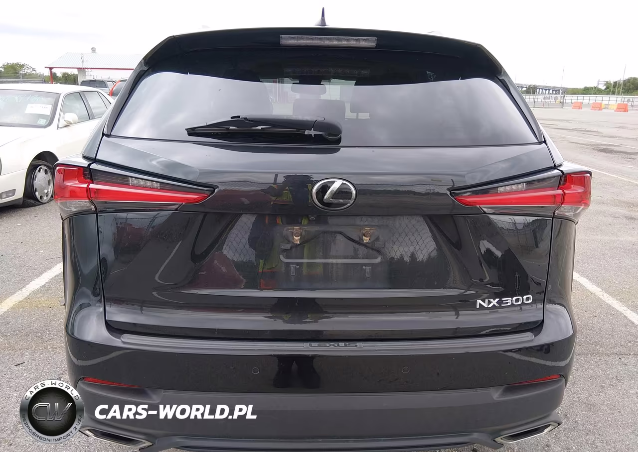 2018 Lexus Nx 300 VIN:JTJYARBZ9J2105039 - 17