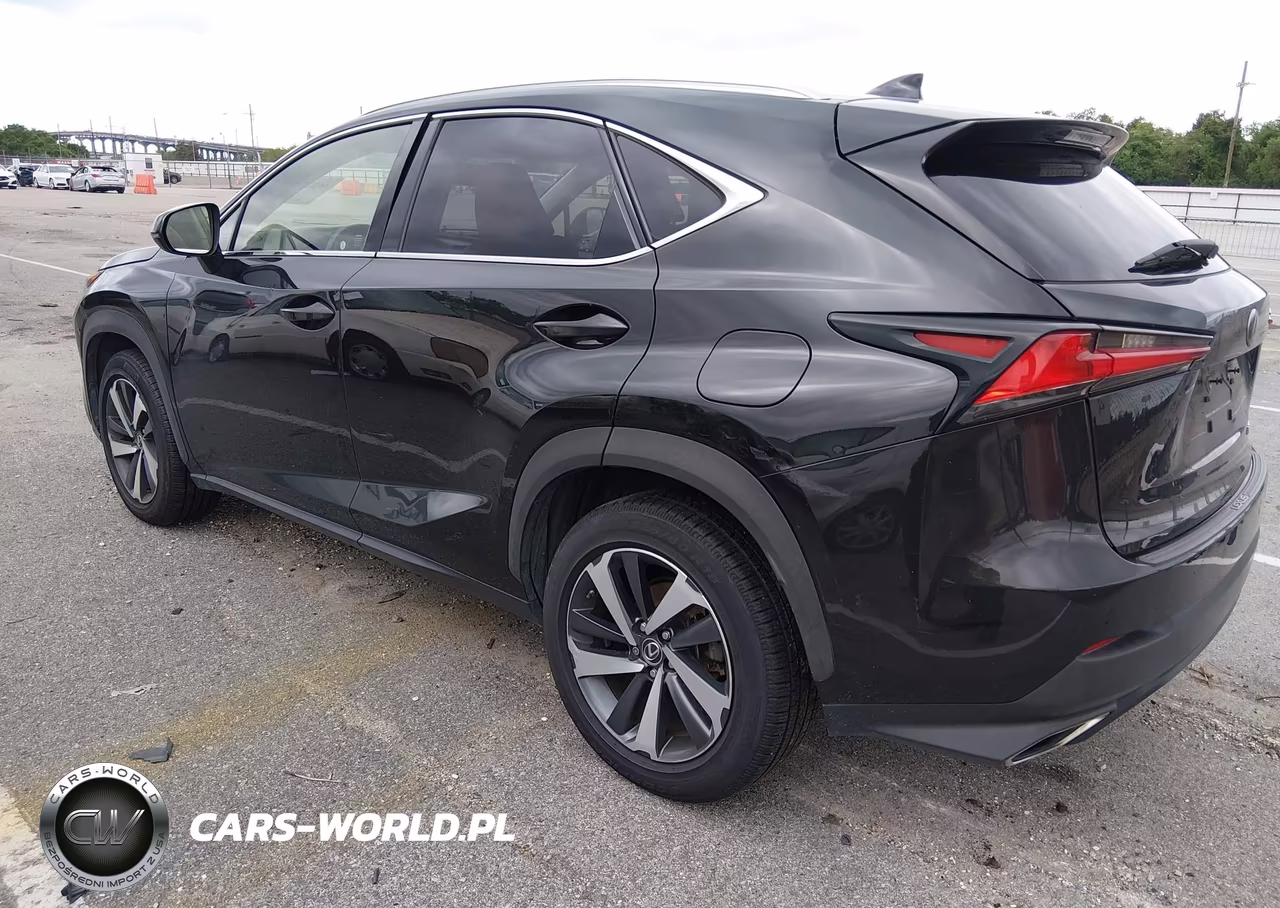 2018 Lexus Nx 300 VIN:JTJYARBZ9J2105039 - 3