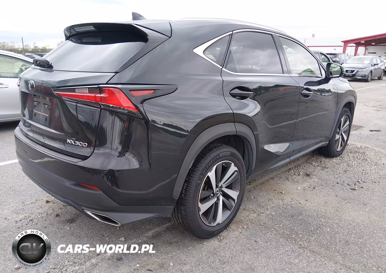 2018 Lexus Nx 300 VIN:JTJYARBZ9J2105039 - 4
