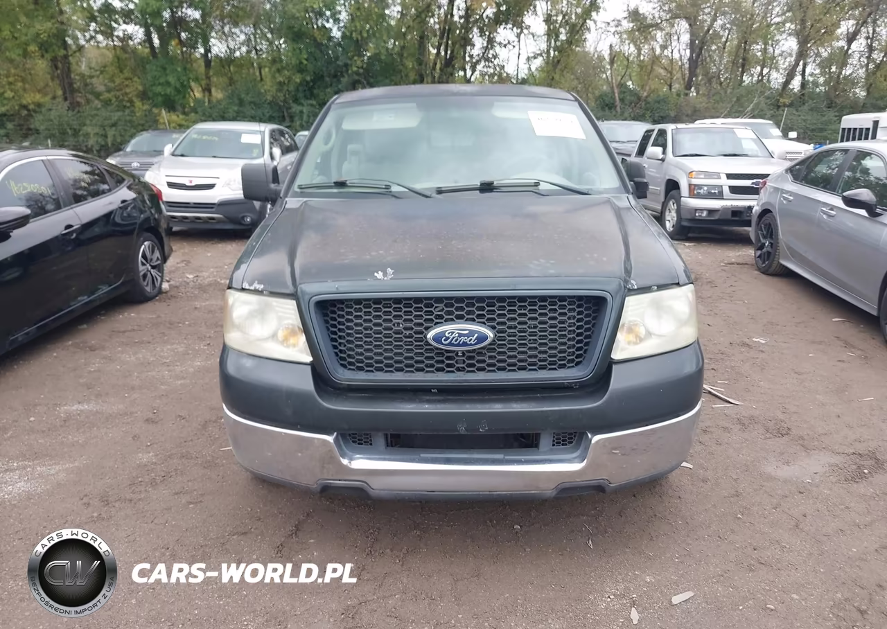 2004 Ford F-150 Stx-Xl-Xlt VIN:1FTRX12W84NA96141 - 6