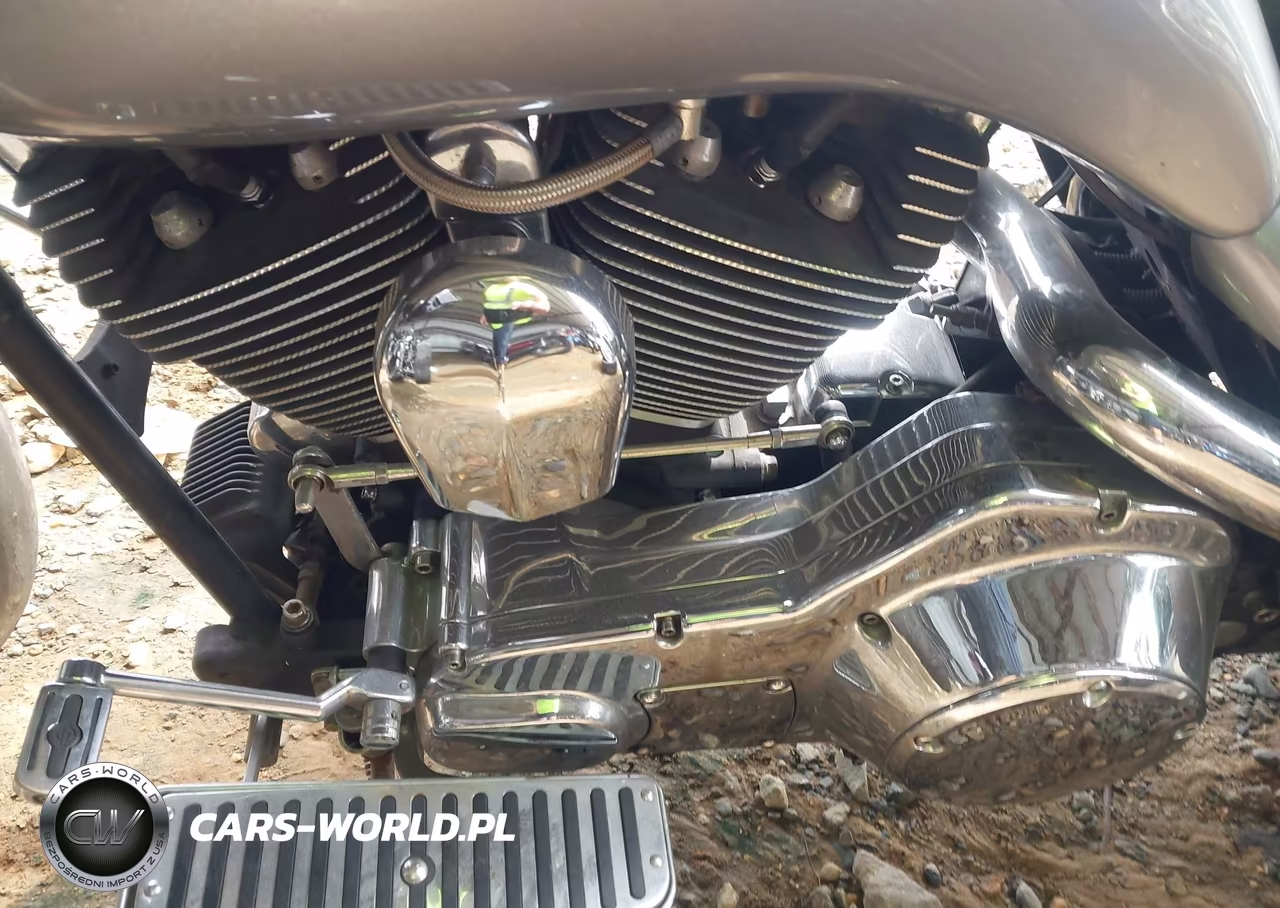 2001 Harley-Davidson Fltri VIN:1HD1FSW1X1Y626896 - 9