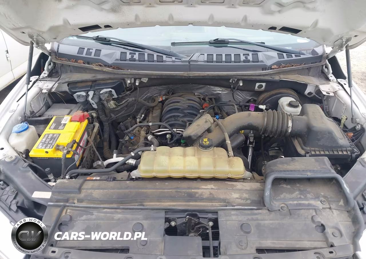 2019 Ford F-150 Xl VIN:1FTMF1C51KKD66019 - 10