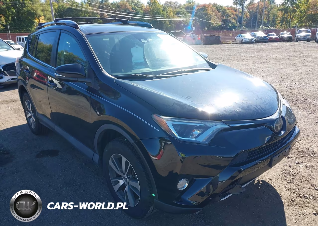 2018 Toyota Rav4 Xle VIN:2T3RFREV6JW824497 - 12