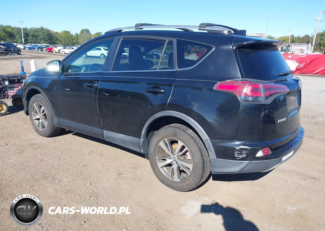 2018 Toyota Rav4 Xle VIN:2T3RFREV6JW824497 - 3