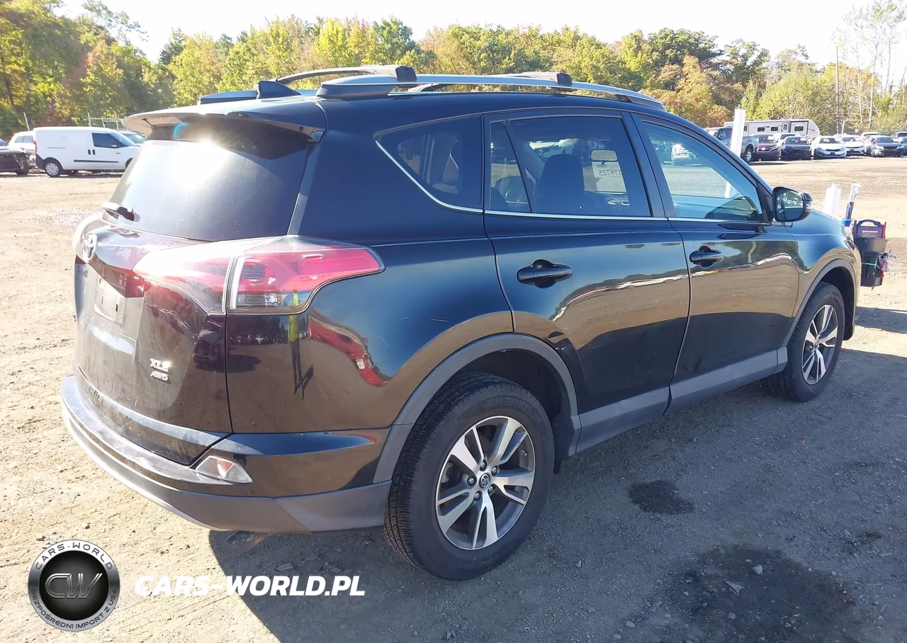 2018 Toyota Rav4 Xle VIN:2T3RFREV6JW824497 - 4