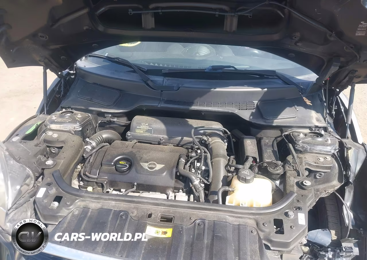 2013 Mini Paceman Cooper S VIN:WMWSS5C53DWN49098 - 10
