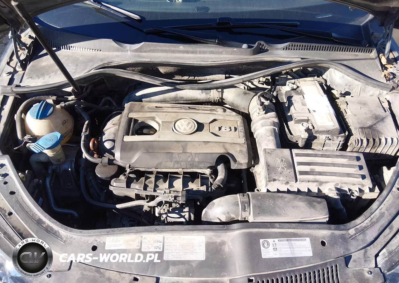 2012 Volkswagen Eos Executive VIN:WVWFW7AH0CV021282 - 10