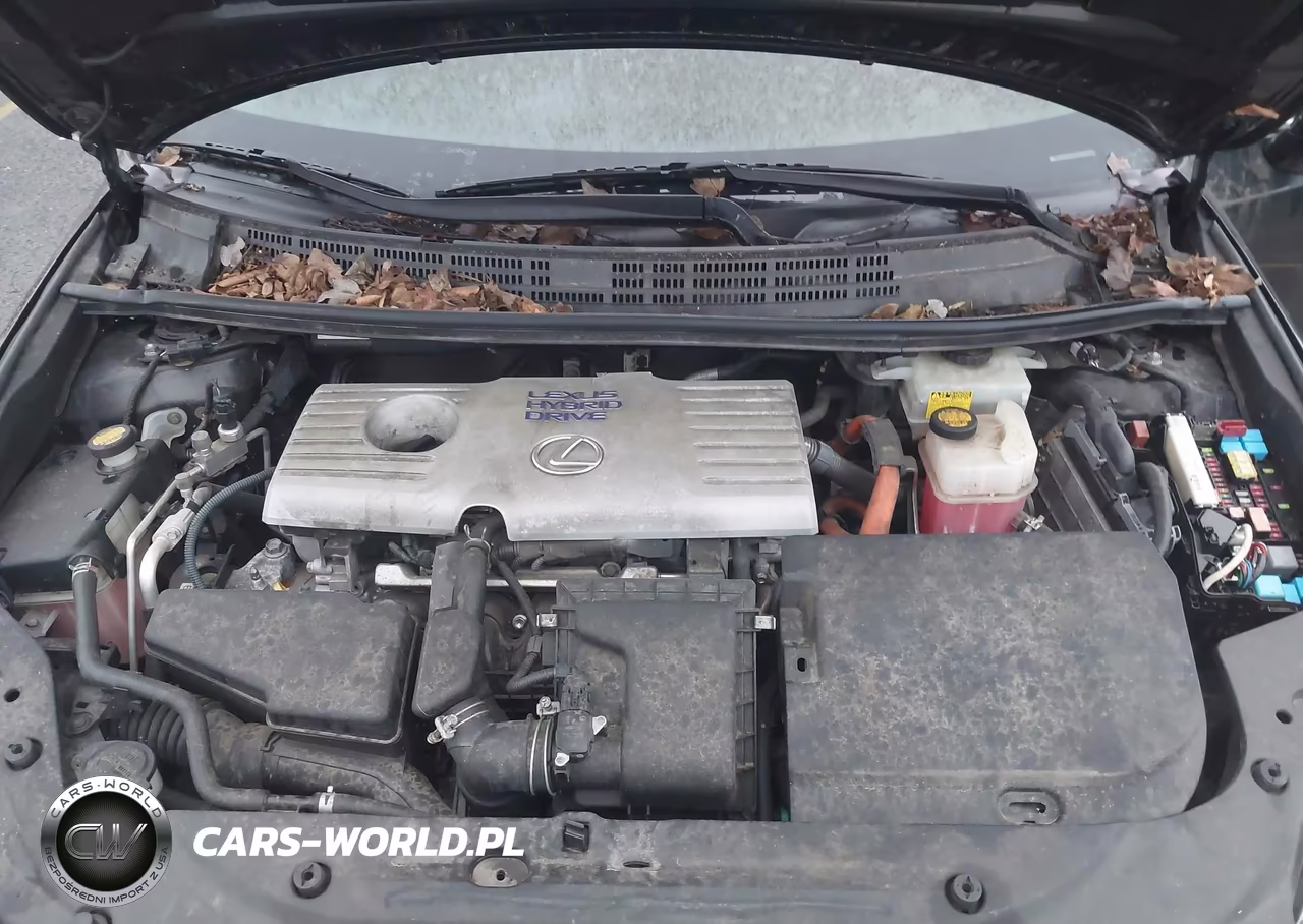 2013 Lexus Ct 200H VIN:JTHKD5BH6D2169008 - 10