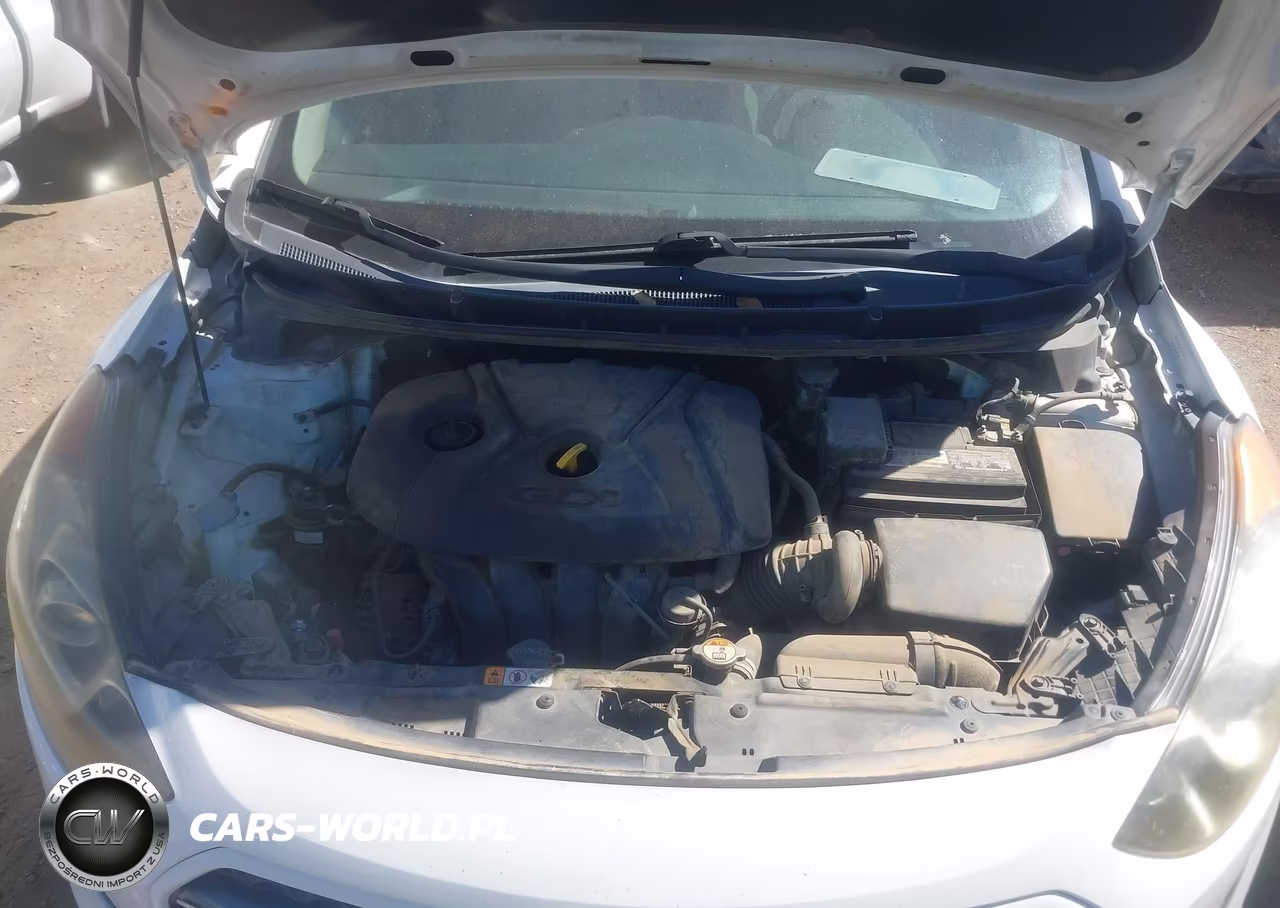 2016 Hyundai Elantra Gt VIN:KMHD35LH5GU254972 - 10