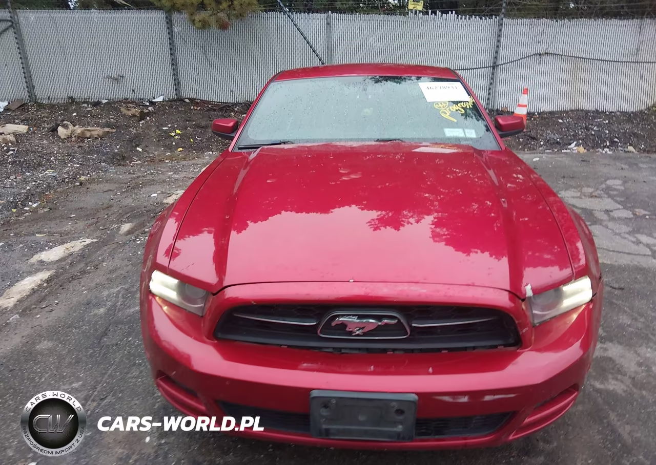 2013 Ford Mustang V6 Premium VIN:1ZVBP8AM7D5240253 - 12