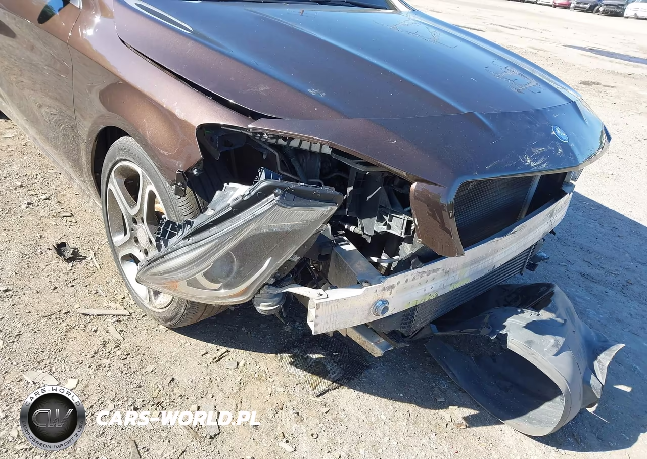 2014 Mercedes-Benz Cla 250 VIN:WDDSJ4EB3EN159022 - 13