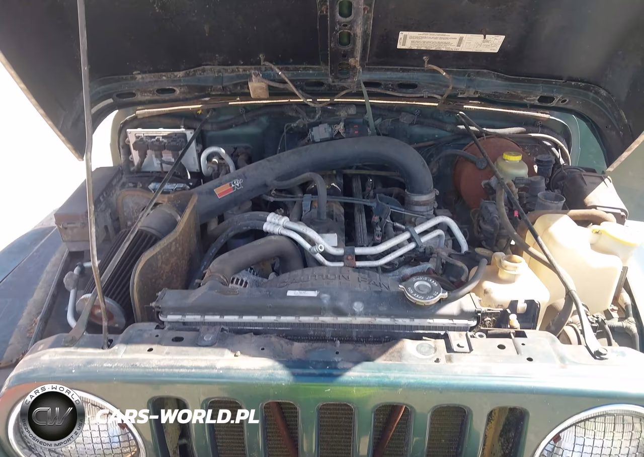 2001 Jeep Wrangler Sahara VIN:1J4FA59S21P306709 - 10