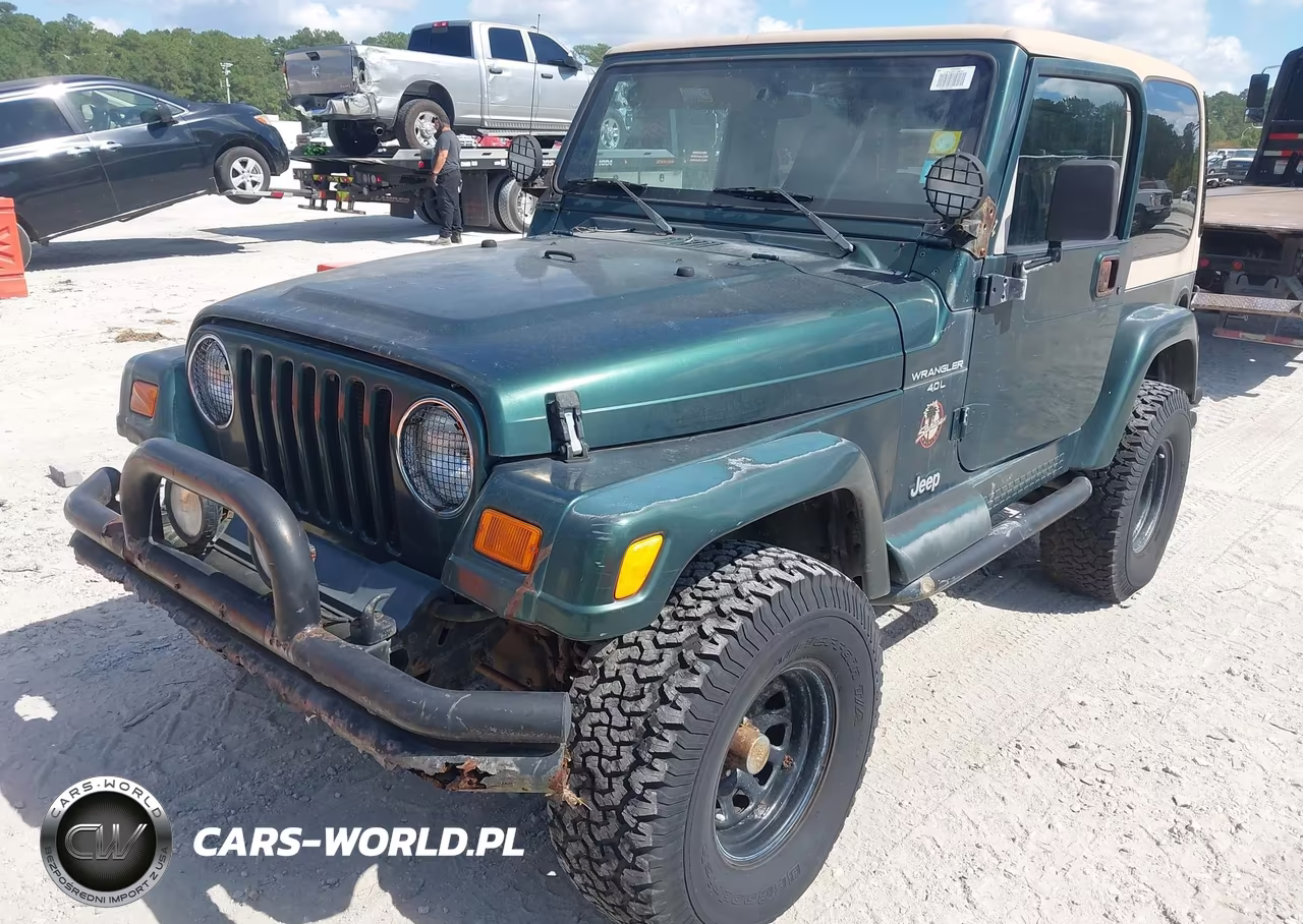 2001 Jeep Wrangler Sahara VIN:1J4FA59S21P306709 - 2