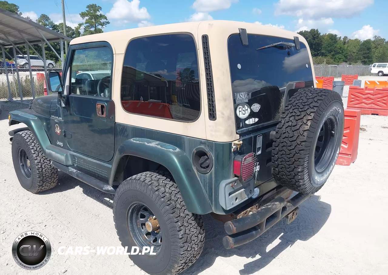 2001 Jeep Wrangler Sahara VIN:1J4FA59S21P306709 - 3