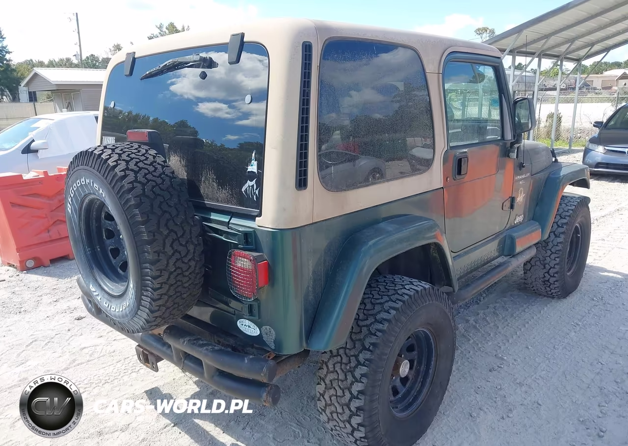 2001 Jeep Wrangler Sahara VIN:1J4FA59S21P306709 - 4