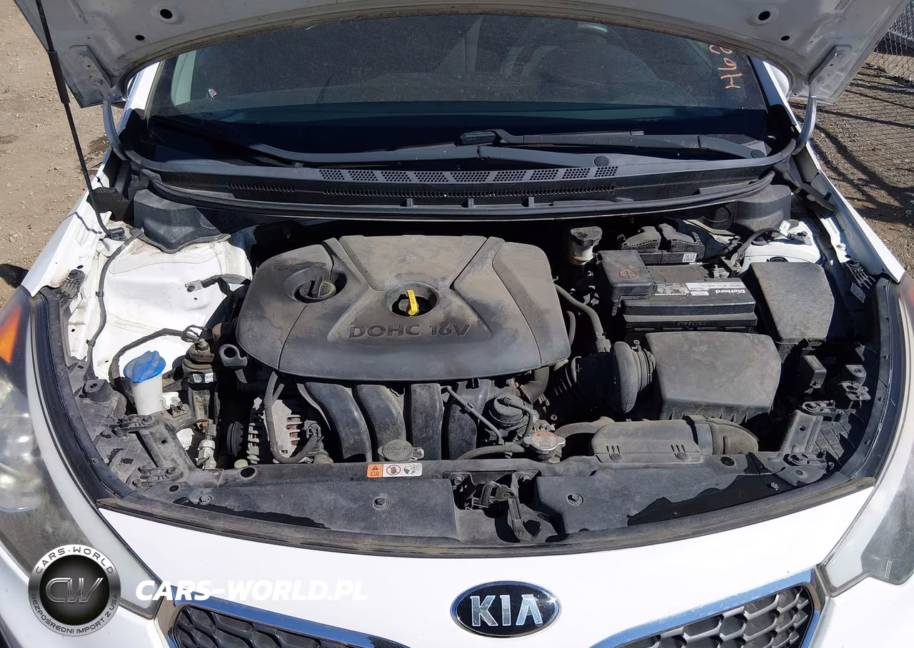 2016 Kia Forte Lx VIN:KNAFK4A63G5495612 - 10