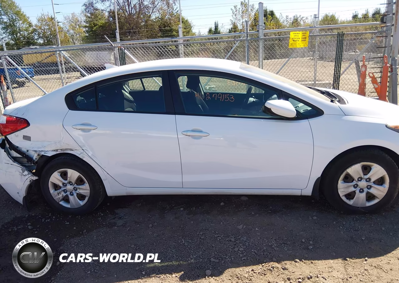 2016 Kia Forte Lx VIN:KNAFK4A63G5495612 - 13