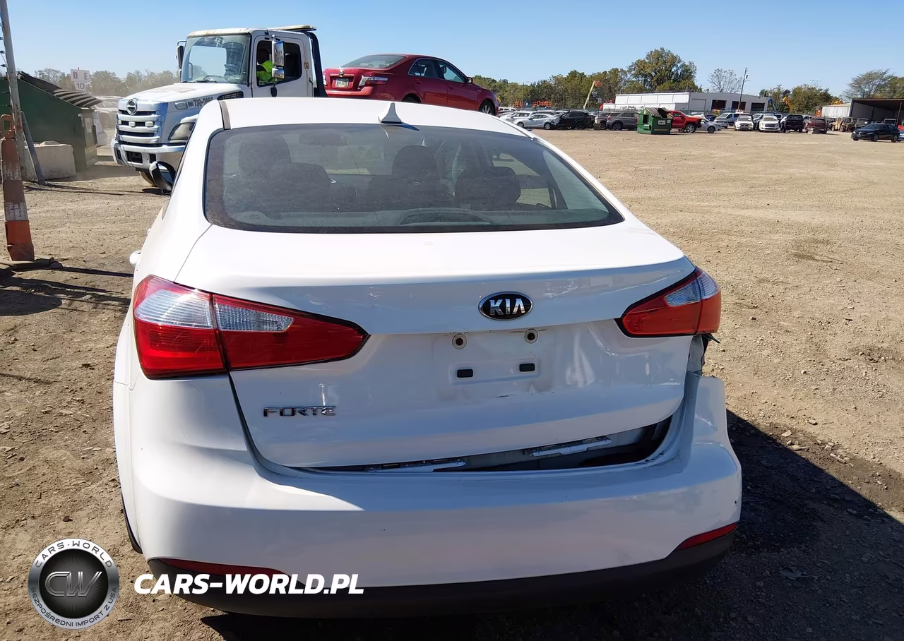 2016 Kia Forte Lx VIN:KNAFK4A63G5495612 - 16