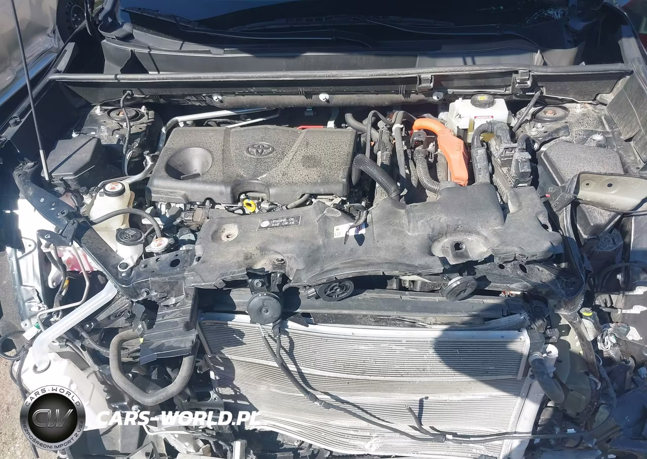 2019 Toyota Rav4 Hybrid Xle VIN:JTMRWRFV6KD005129 - 10