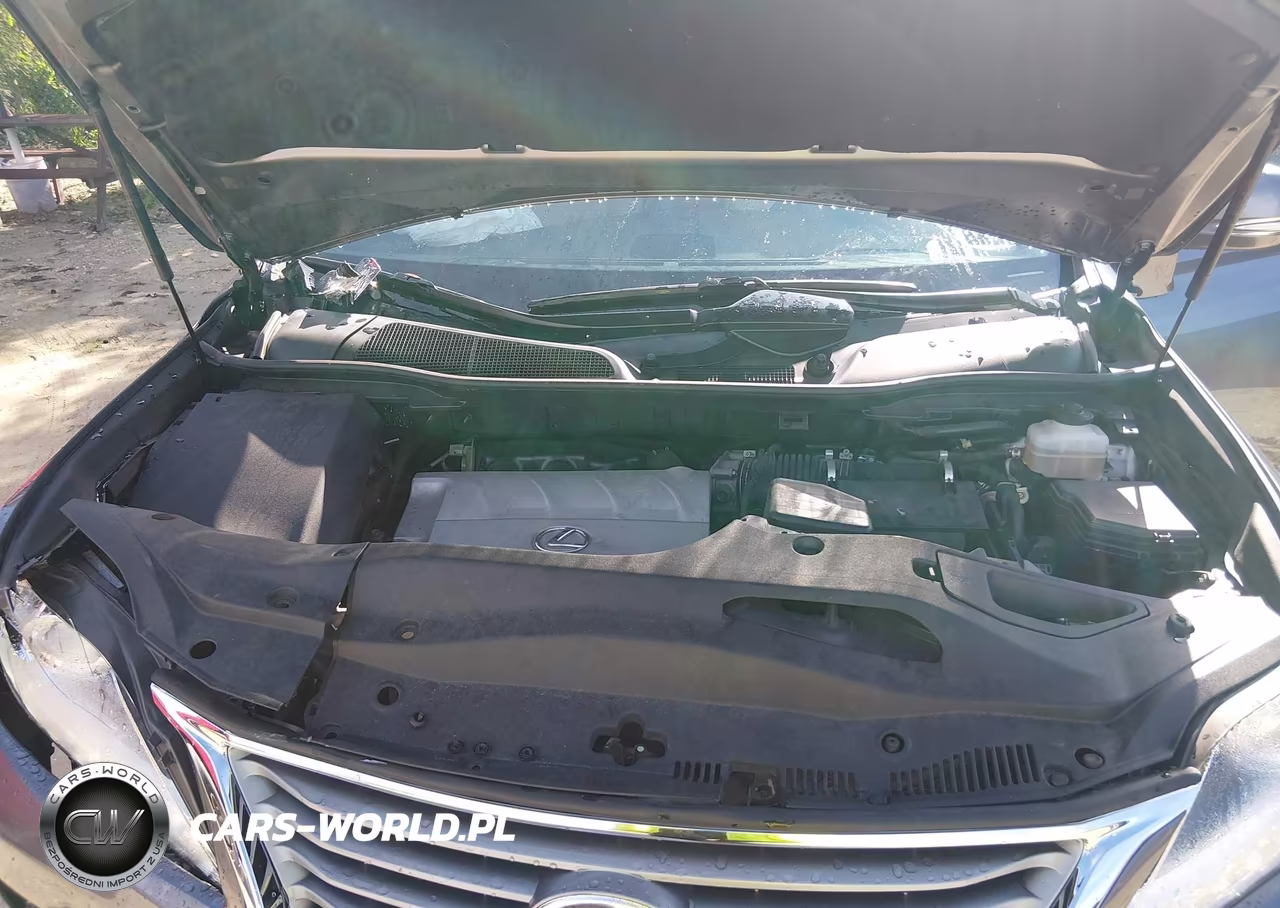 2014 Lexus Rx 350 VIN:JTJZK1BAXE2013084 - 10